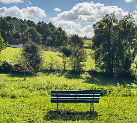 Uitzicht over de weiden en bosranden achter het huis, met een blauwe bank in het gras